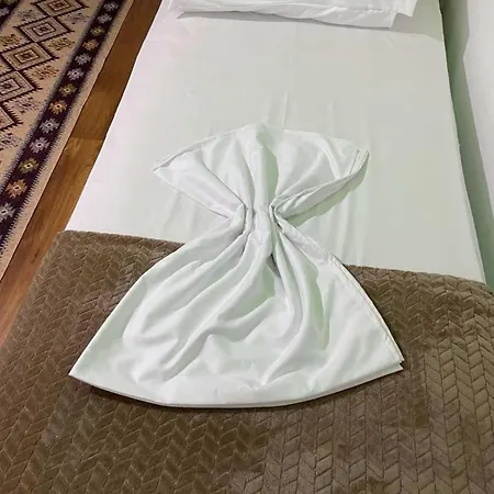 Shegani House Lini